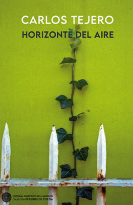 CARLOS TEJERO HORIZONTE DEL AIRE
