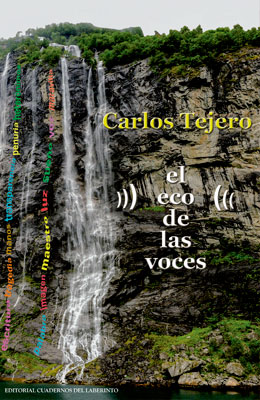 Carlos Tejero. El eco de las voces